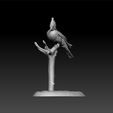 ki2.jpg Kingfisher - bird Kingfisher 3d model for 3d print