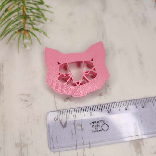 368085466_858537165715248_1968344546304440576_n.jpg Wild cat