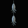 Bream-fish-34.png fish Common bream / Abramis brama solo model detailed texture for 3d printing