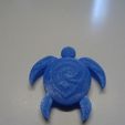 tortue 1.jpg Tortue