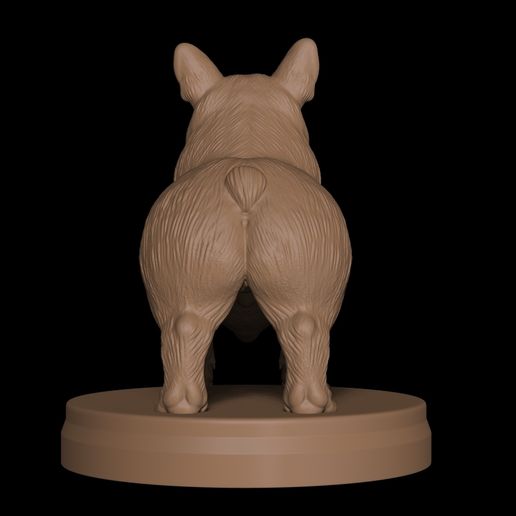 12.jpg Corgi