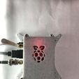 IMG_1099.jpg Pi Hat case Top for Dragino LoRa/GPS board