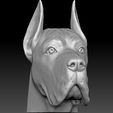 3.jpg Great Dane head for 3D printing