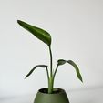 self-watering-3D-printed-planter-2.jpg KAPKA self watering planter