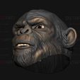 12.jpg King Monkey Mask - Kingdom of The Planet of The Apes