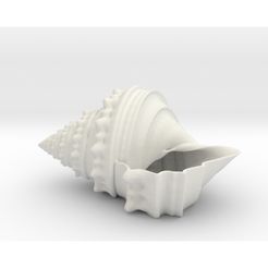 afoto.jpg STL file Shell Planter・3D print design to download, iagoroddop