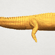 A01.png Alligator 01