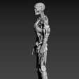 S-3.jpg Terminator T800 Salvation Endoskeleton Pose 1