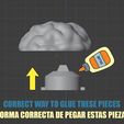 12-DULCERA-CRANEO.jpg DULCERA CRANEO