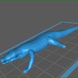 screenShot_Alligator.png CROCODILE MODELING