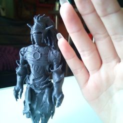 IMG_20171203_141147.jpg Fichier STL gratuit frisco le cra wakfu・Plan à télécharger et à imprimer en 3D