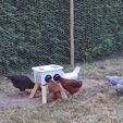 1688470136365.jpg Chicken feeder!