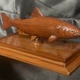 IMG_7494.jpg fish sculpture of a trout with storage space for 3d printing