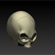 3.jpg GREY ALIEN SKULL