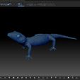 ZBrush3.jpg Japanese Cave Gecko-Goniurosaurus orientalis-STL with Full-Size Texture-High-Polygon 3D Model incl. Zbrush-Originals