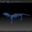 ZBrush3.jpg Japanese Cave Gecko-Goniurosaurus orientalis-STL mit Full-Size-Textur-High-Polygon- 3D Modell inkl. Zbrush- Originale