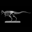 1000045176.png Carcharodontosaurus Skeleton