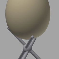 EggSupport.jpg Fowl & Ostrich Egg