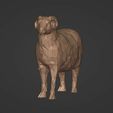 R7.jpg LowPoly Sheep Figurine