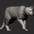 bengal-cat11.jpg Bengal cat 3D print model