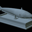 Catfish-statue-36.png fish wels catfish / Silurus glanis statue detailed texture for 3d printing