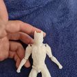 20230423_095658.jpg STL file Shadow - Wolf Warrior v2.0 (single piece Action Figure)・3D printing template to download