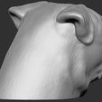 10.jpg Pug head for 3D printing