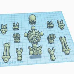 Screen-Shot-2023-09-06-at-7.52.15-PM.png Free STL file skeleton・3D printing idea to download