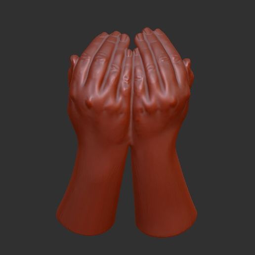 hands_carry_12.jpg human hands carry