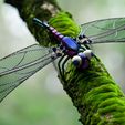 CUTE DRAGONFLY MOBILE WITH FLAPPING WINGS