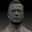 Nav_0005_Layer-17.jpg Alexei Navalny 3d print bust FREE Textured