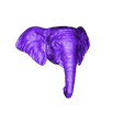 Head_no_tusks.stl African Elephant Head - High Poly