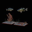 bass-R-17.png two bass scenery in underwather for 3d print detailed texture