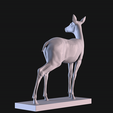 06.png Deer
