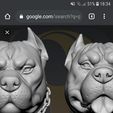 Screenshot_20210425-183415_Chrome.jpg Pitbull bust