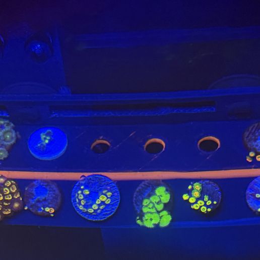 Frag Rack - 3D model önizlemesi