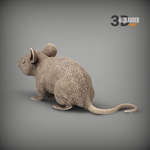 mouse5.jpg Mouse 3D print model
