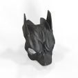 Chien masque 4.jpg Batman dog mask