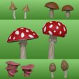 All.jpeg Mushroom variety
