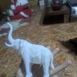 WhatsApp-Image-2025-11-27-at-11.57.20-AM.jpeg Elephant lifting its trunk LOW POLY