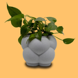 Photo-Room-2.png Bubble Cloud Bottom Watering Planter