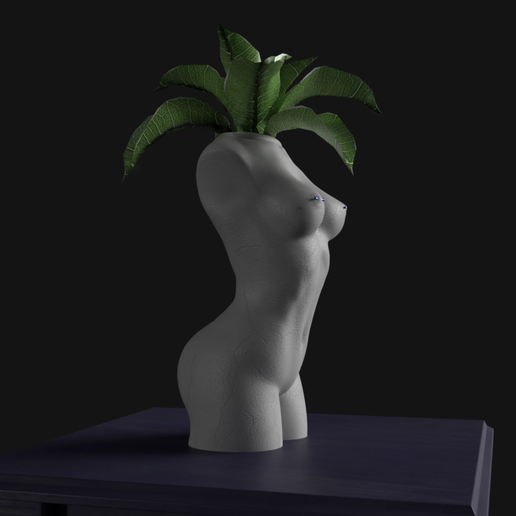 Body Vase (2) 3D model