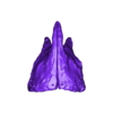 Skull_Part01.stl Allosaurus skull