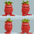 STr.png The Strawberry creature - 3d collectible files