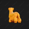 3380-Cesky_Terrier_Pose_03.jpg Cesky Terrier Dog 3D Print Model Pose 03