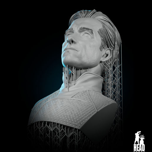 10.png HomeLander Bust - Ernster Ausdruck