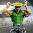 guile.jpeg guile wins