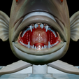 Dentex-mouth-statue-34.png fish Common dentex / dentex dentex open mouth statue detailed texture for 3d printing