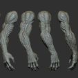 6.jpg 25 Creature arms 3D model ZTL+OBJ+STL