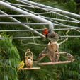 DSCN2317.jpg STL file Bird Suet Feeder - 2020・3D printing design to download